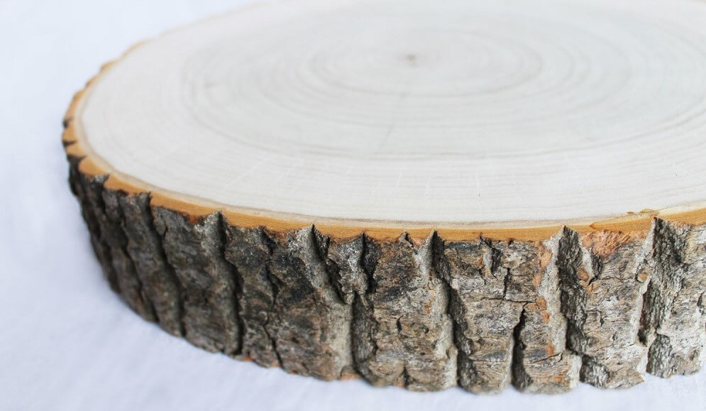 Характеристики древесины осины
